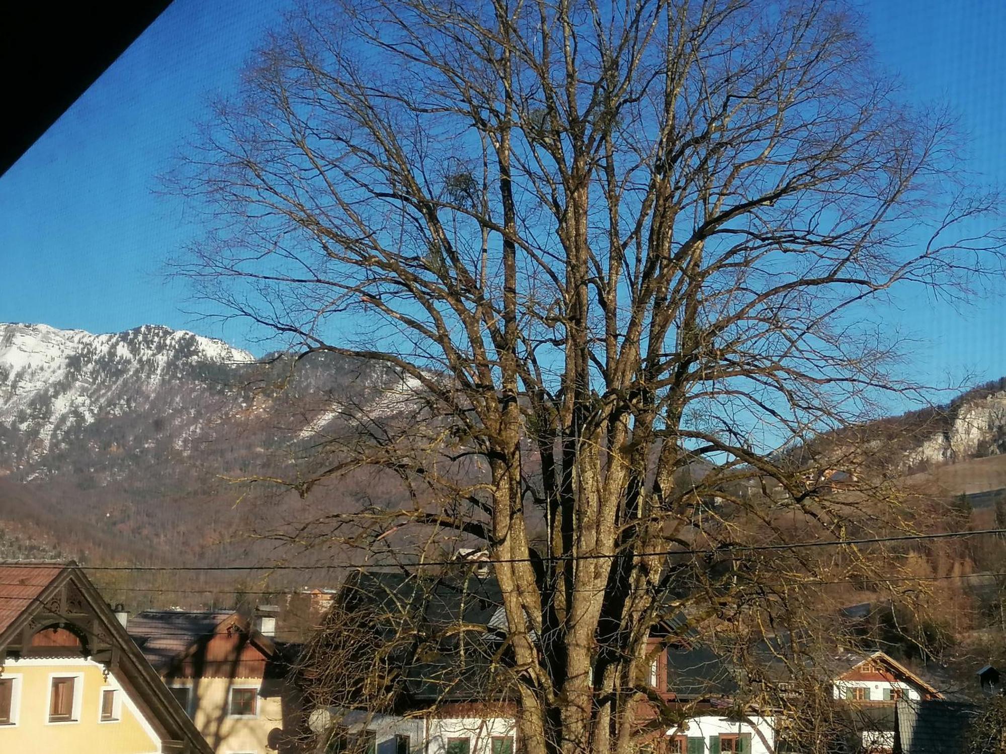Apartmán Alpenblumal Bad Goisern Exteriér fotografie